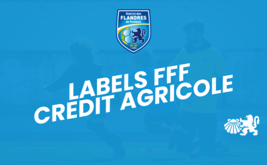 Fff Later Dernier mois pour candidater aux Labels FFF – DISTRICT DES FLANDRES
